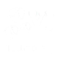 VJ Technology