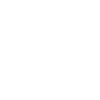 ai2bvert-200h